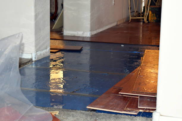 Professional Water Extraction technician working in McCool, MS